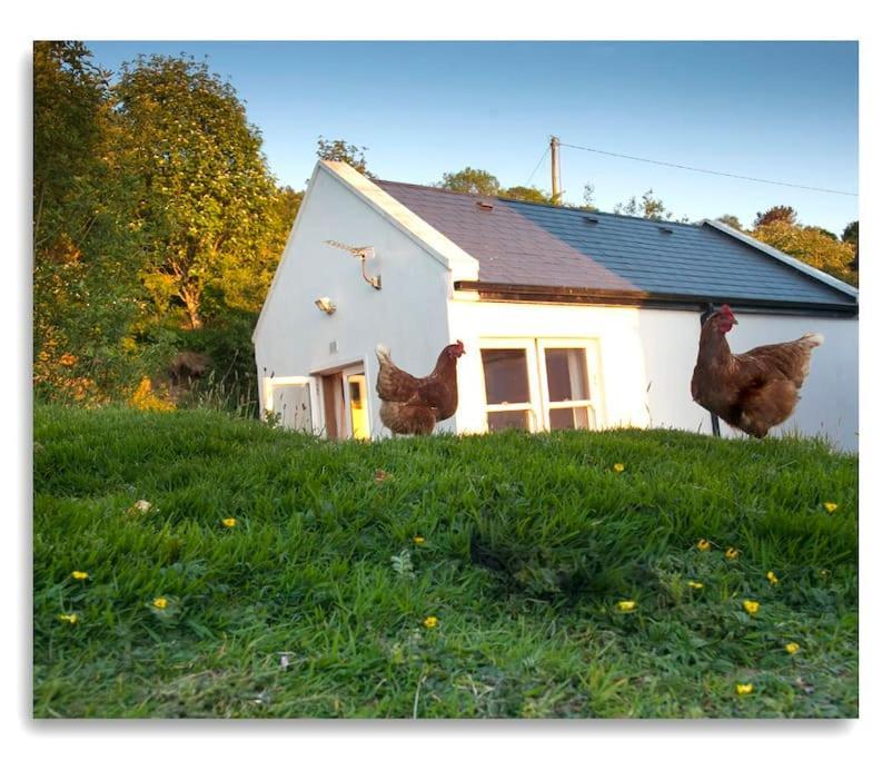 Cosy Self Contained Cottage With Stunning Views Killaloe Luaran gambar