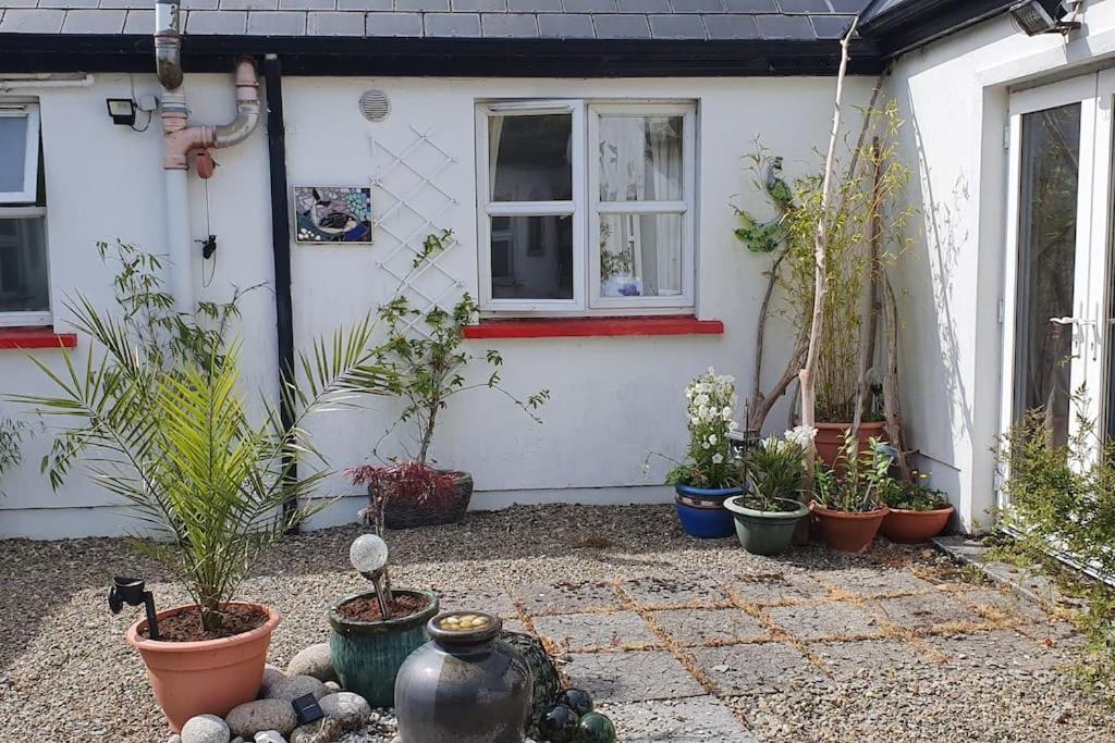 Cosy Self Contained Cottage With Stunning Views Killaloe Luaran gambar